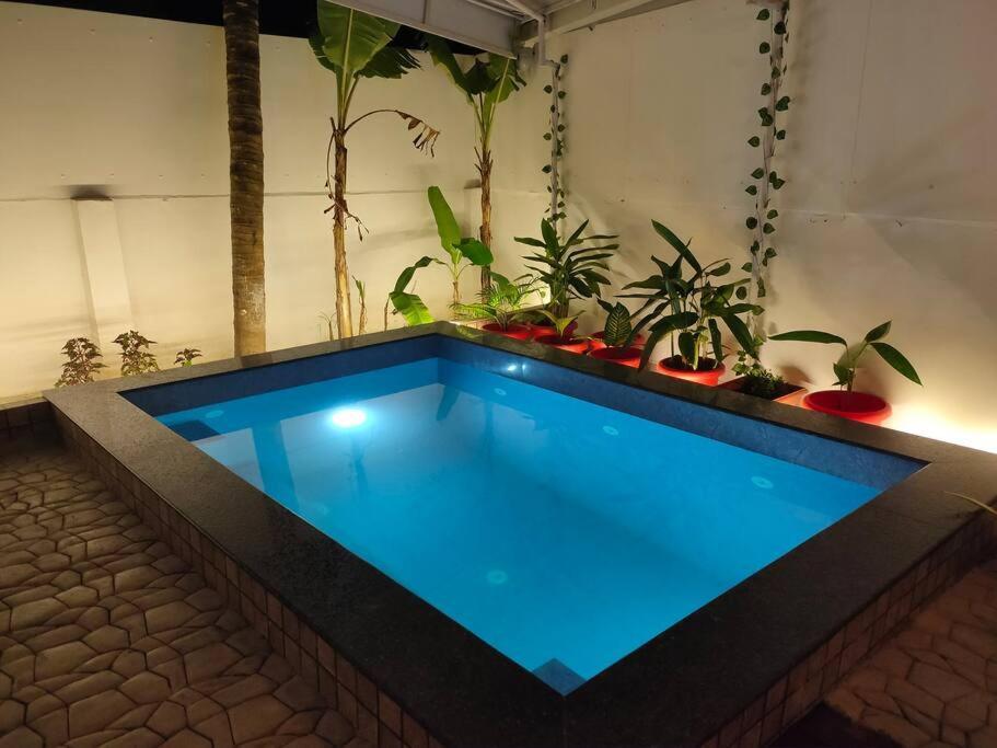 Paradise Villa With Private Jacuzzi Pool ميناء بلير المظهر الخارجي الصورة